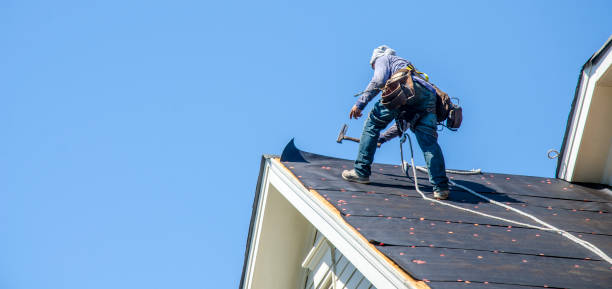 Best Roof Maintenance Services  in North Plainfield, NJ